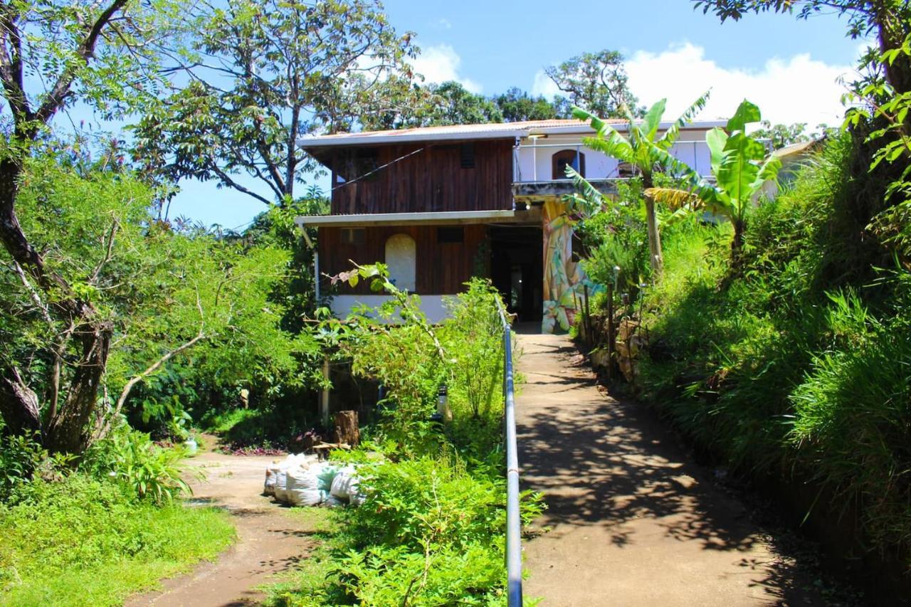 Casa Alquimia Hotel Monteverde Exterior foto