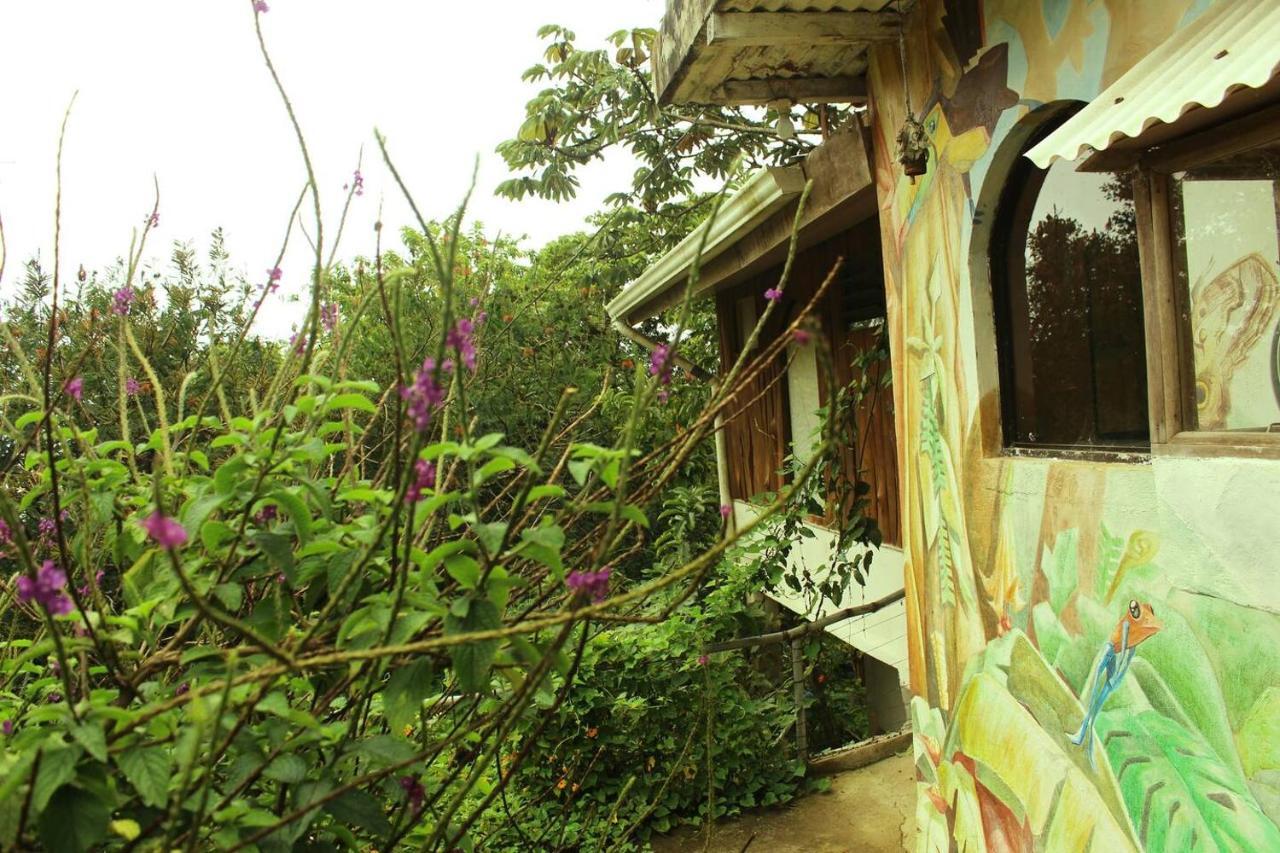 Casa Alquimia Hotel Monteverde Exterior foto